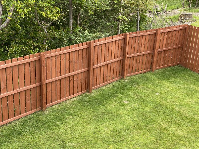 Clean, Painted Fence